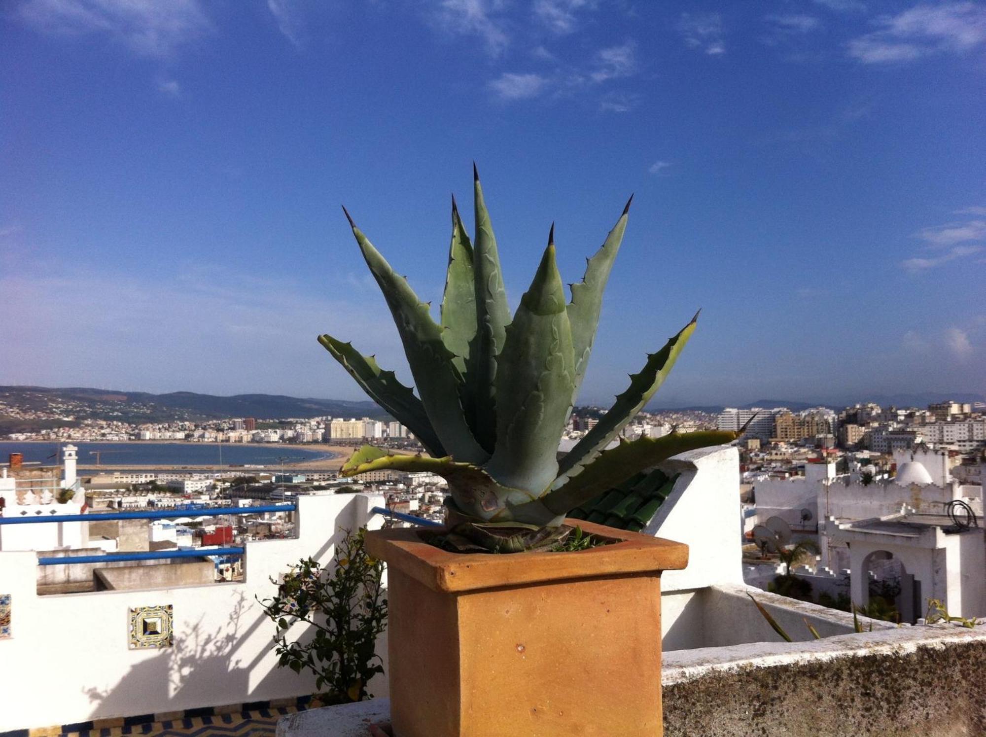 Maison Traditionnelle Dans La Casbah De Tanger Esterno foto